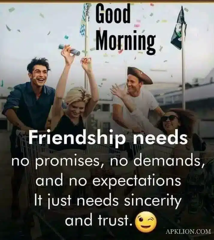 Friendship Good Morning Image (21)
