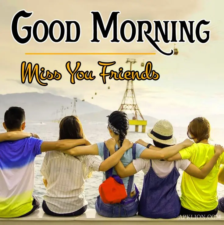 Best Friendship Good Morning Image
