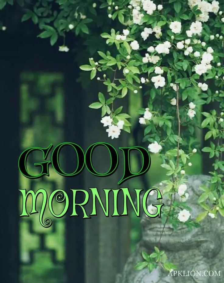 good morning images flowers 