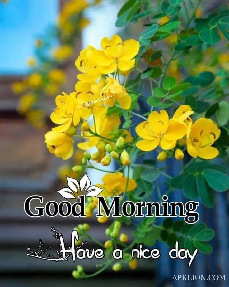 good morning images flowers gif 