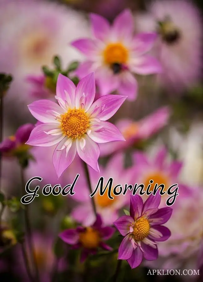 good morning images flowers bouquet 