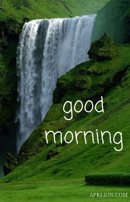 good morning love images - hindi download 