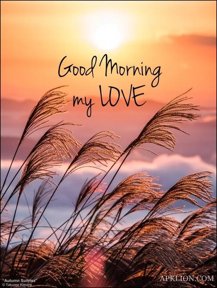 beautiful good morning love images 