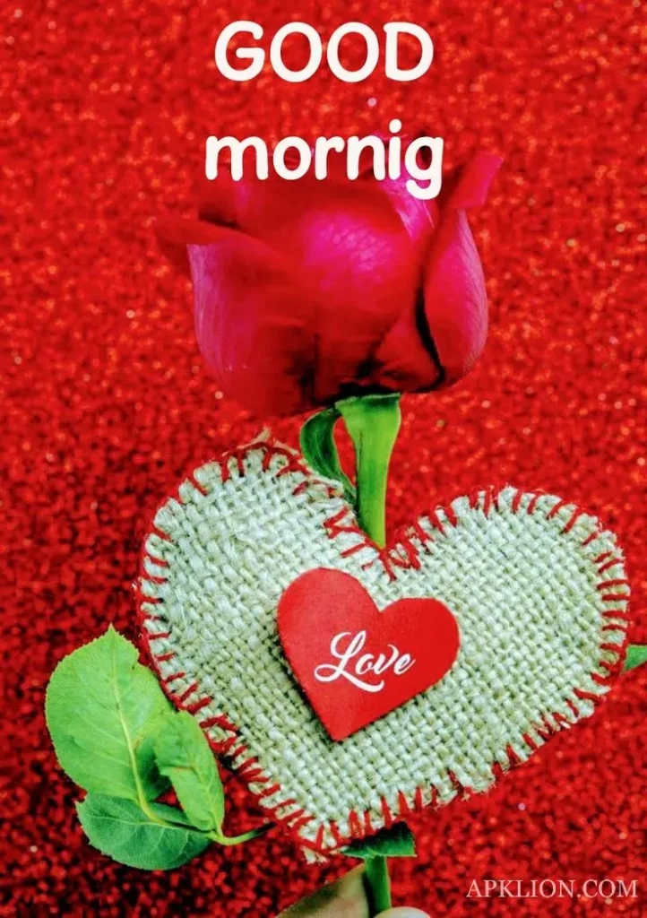 whatsapp good morning love images 