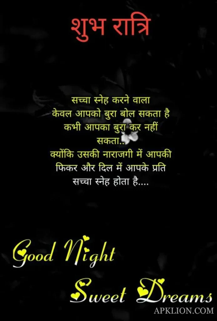 Good Night Love Image in Hindi (10)