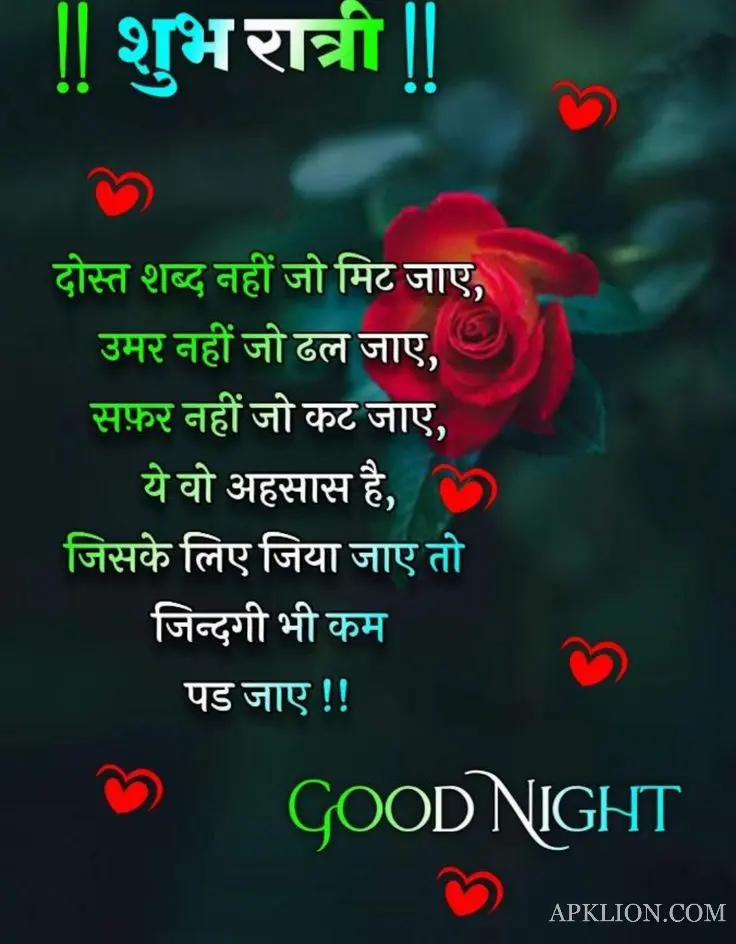 Good Night Love Image in Hindi (13)