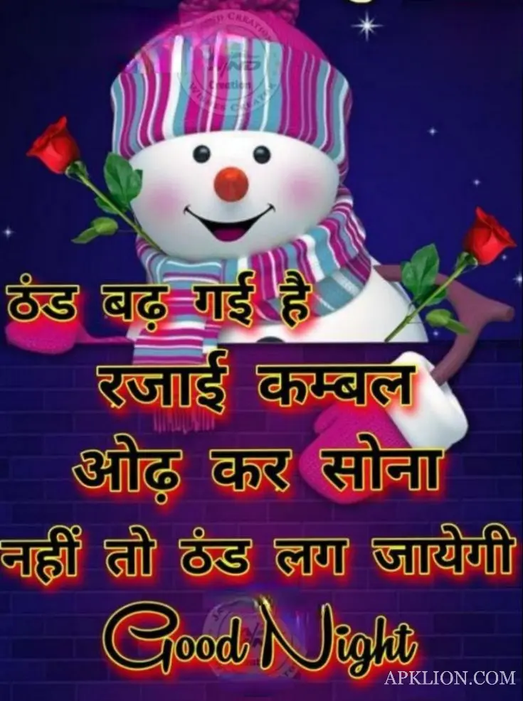 Good Night Love Image in Hindi (15)