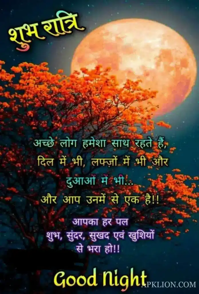 Good Night Love Image in Hindi (16)