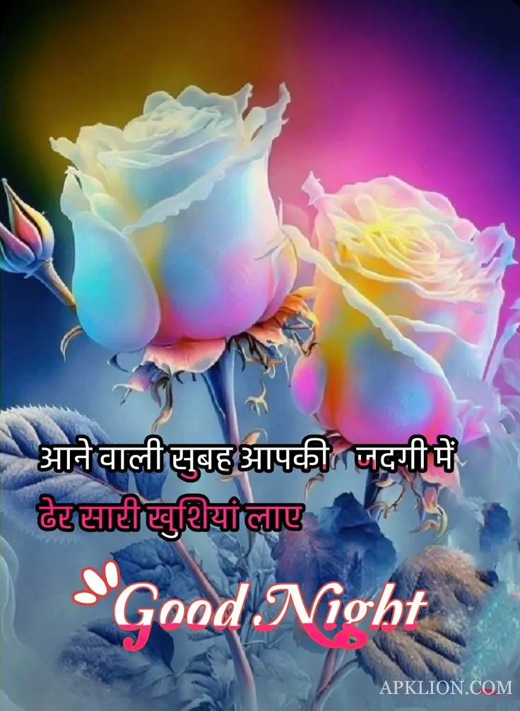 Good Night Love Image in Hindi (18)