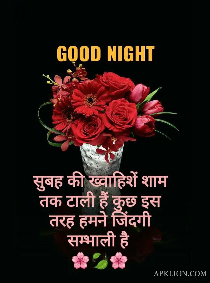 Good Night Love Image in Hindi (19)