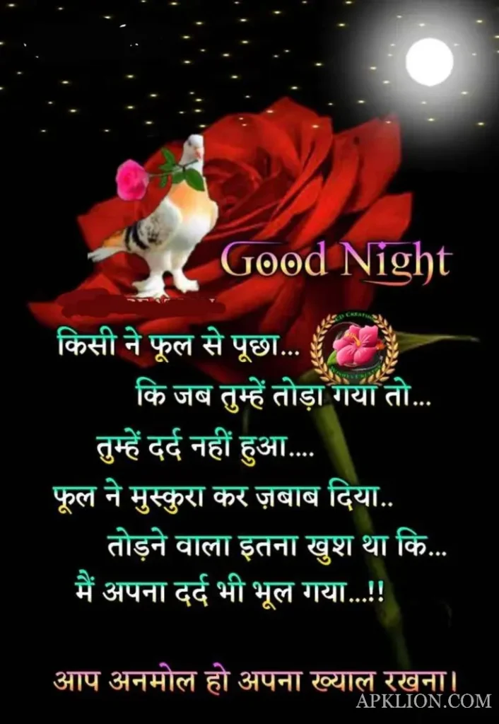 good night love images in hindi 