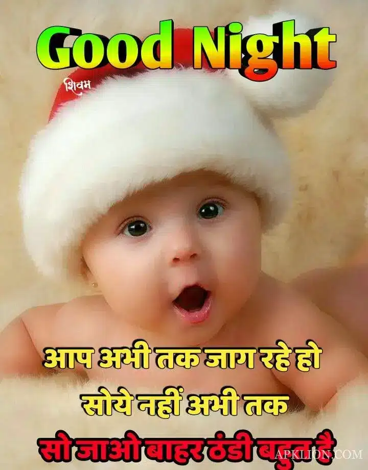 Good Night Love Image in Hindi (7)