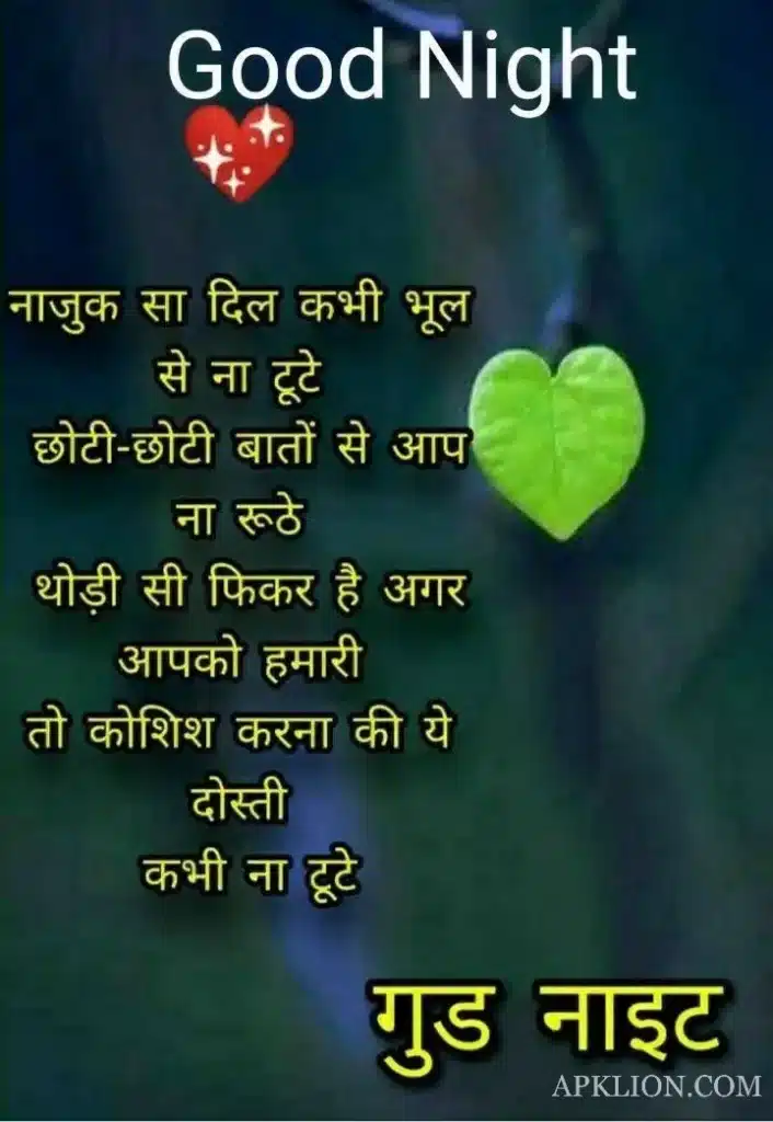 Good Night Love Image in Hindi (9)