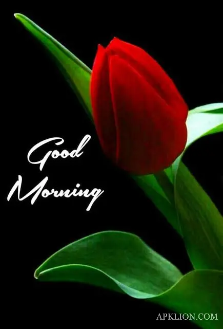 lovely good morning images hindi 