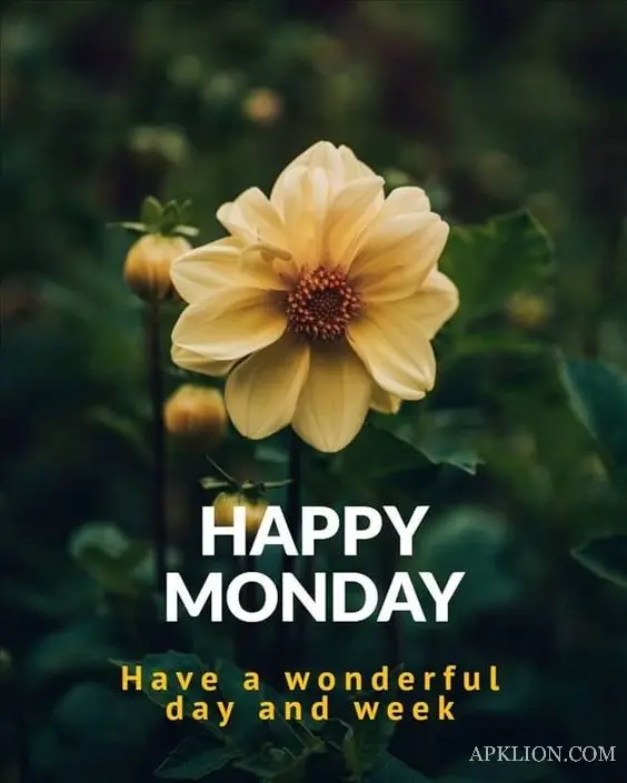 monday good morning images hd 