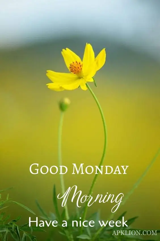new monday good morning images 