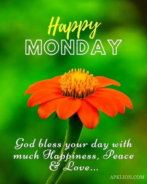 monday good morning images download 