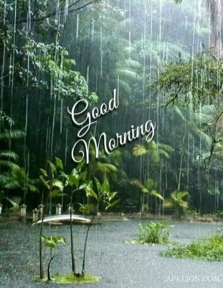 rainy good morning images gif 