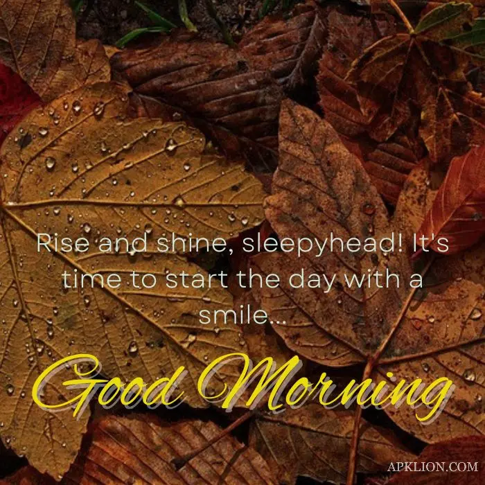 rainy good morning images with quotes 