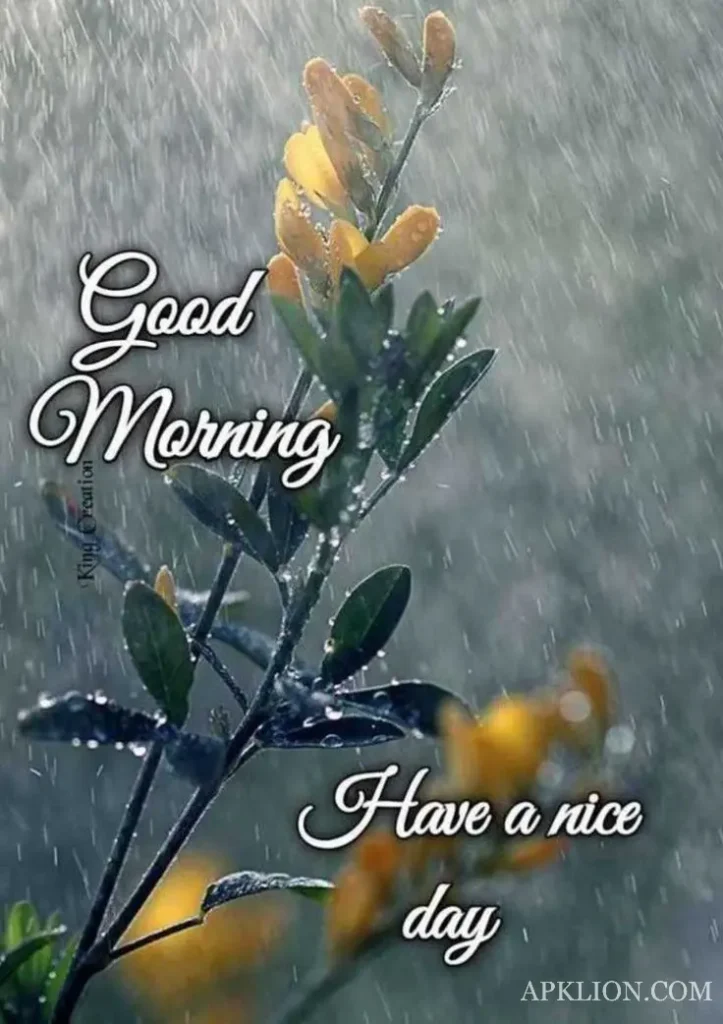 beautiful rainy good morning images 