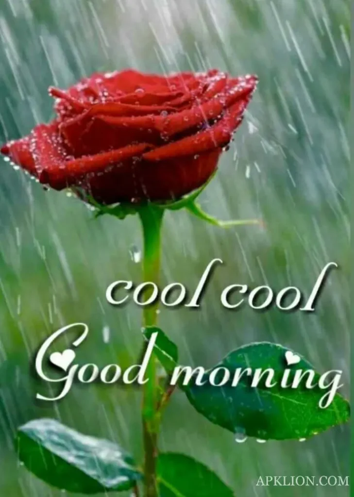 another rainy good morning images 