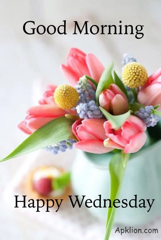 wednesday good morning images in hindi


