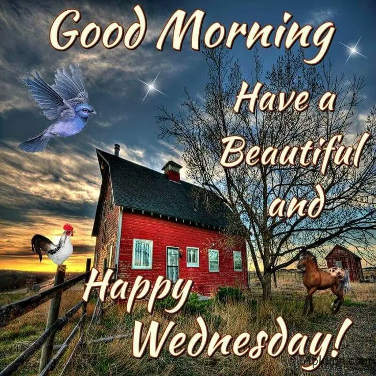 happy wednesday good morning images

