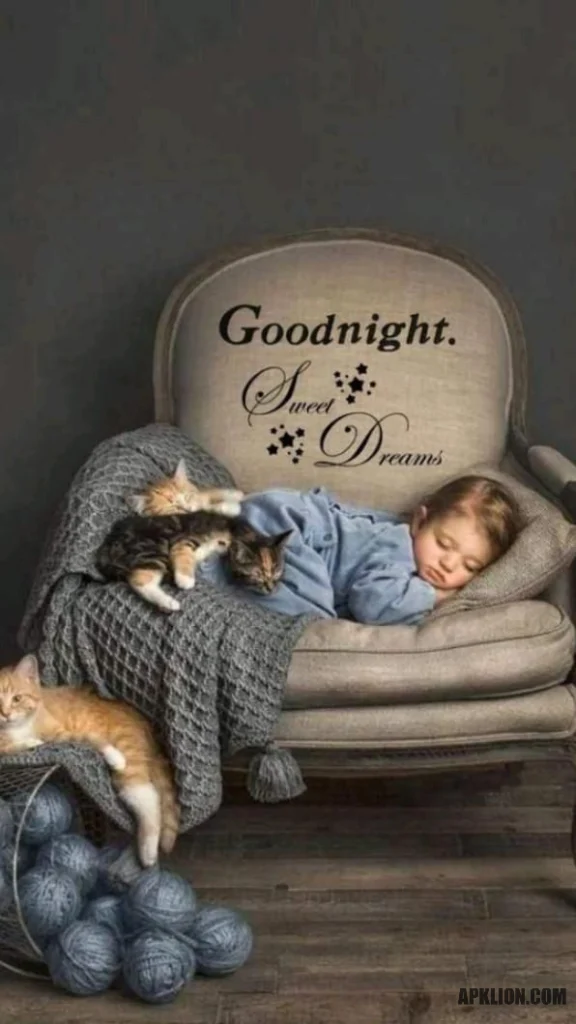 lovely cute good night image