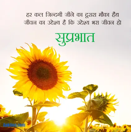 good morning images in hindi 