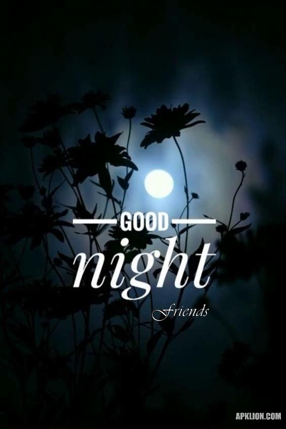 dark good night image for friends