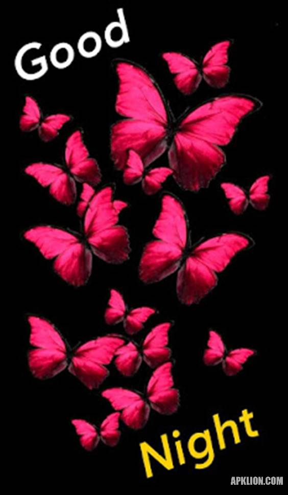 butterfly good night image for friends