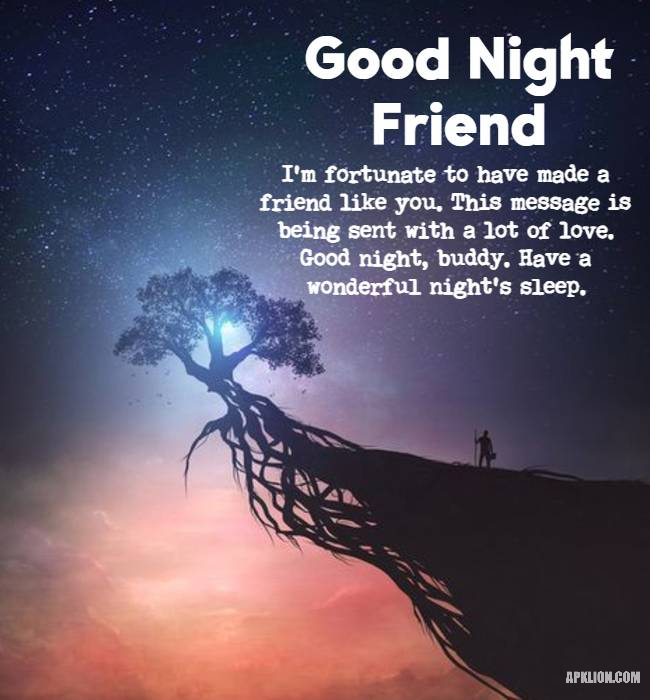 latest good night image for friends