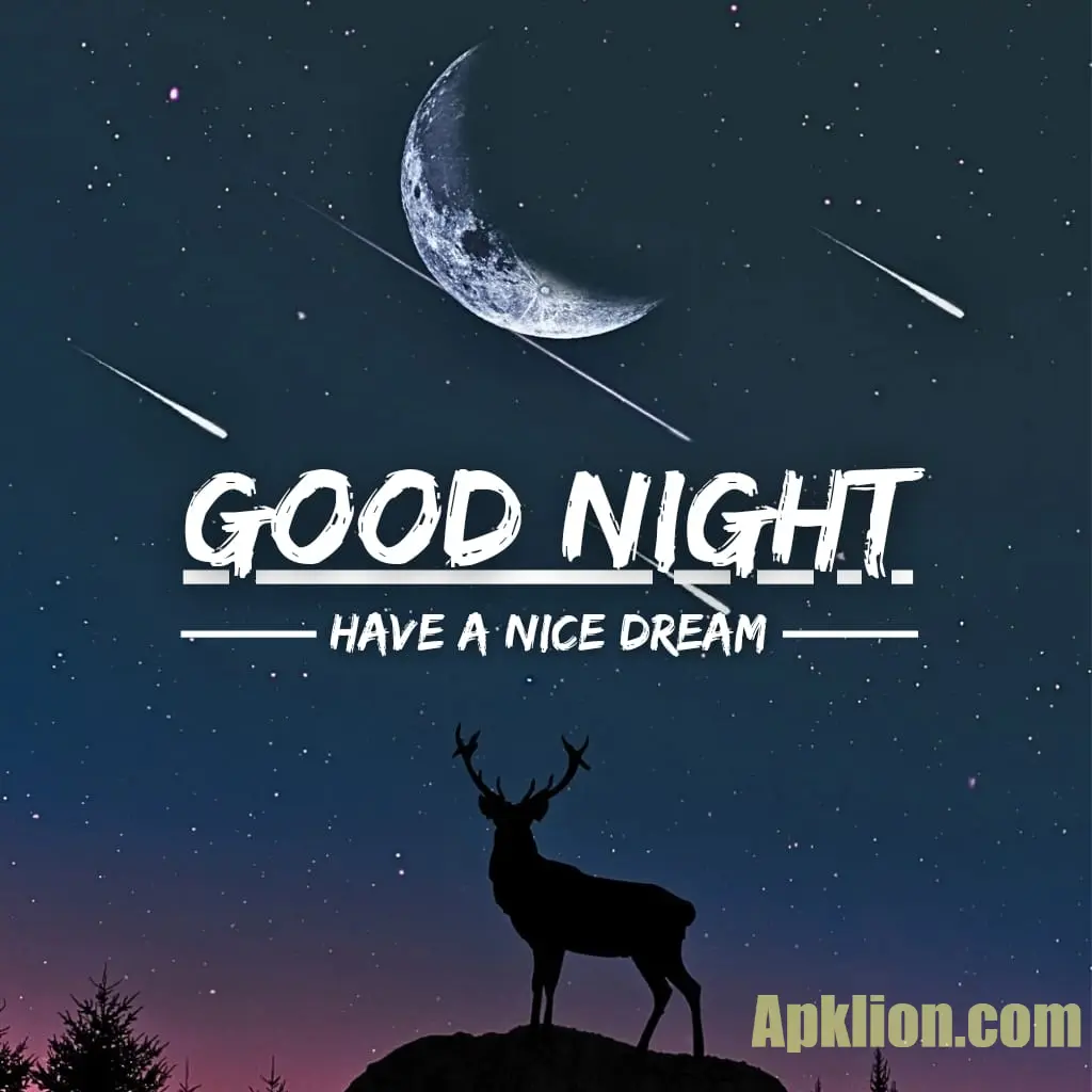 have a nice dream