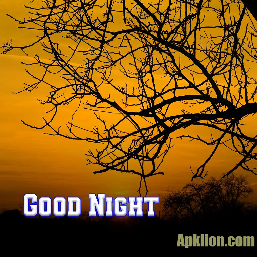 good night photo hindi 