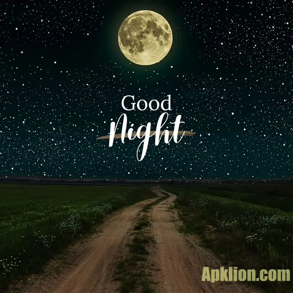 lovely good night images hindi 