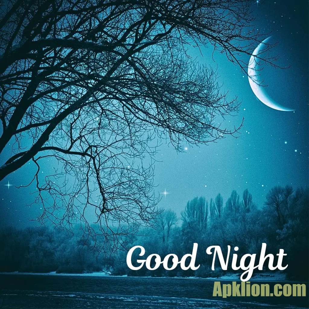lovely good night images - hindi 