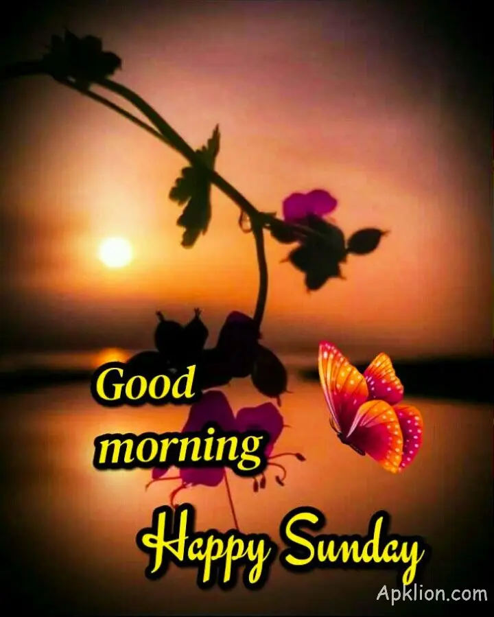 sunday good morning images download

