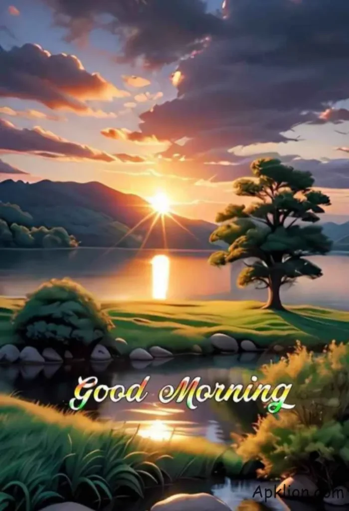 good morning image with sun tree