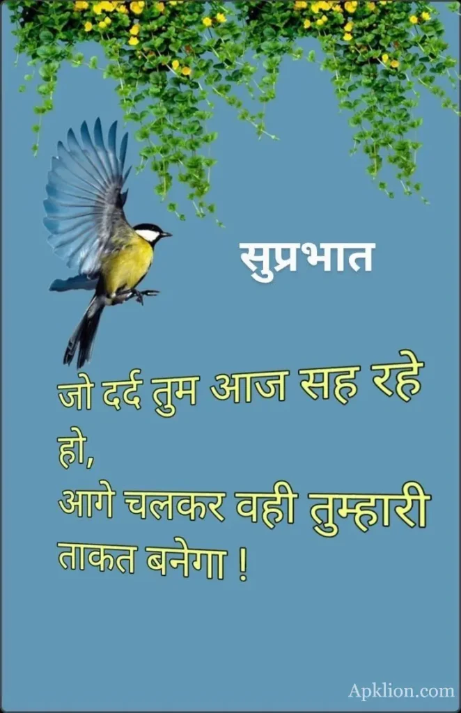 suprabhat images with quotes in hindi

