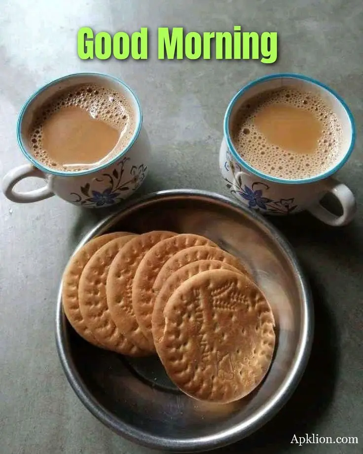 Good morning tea with biscuit