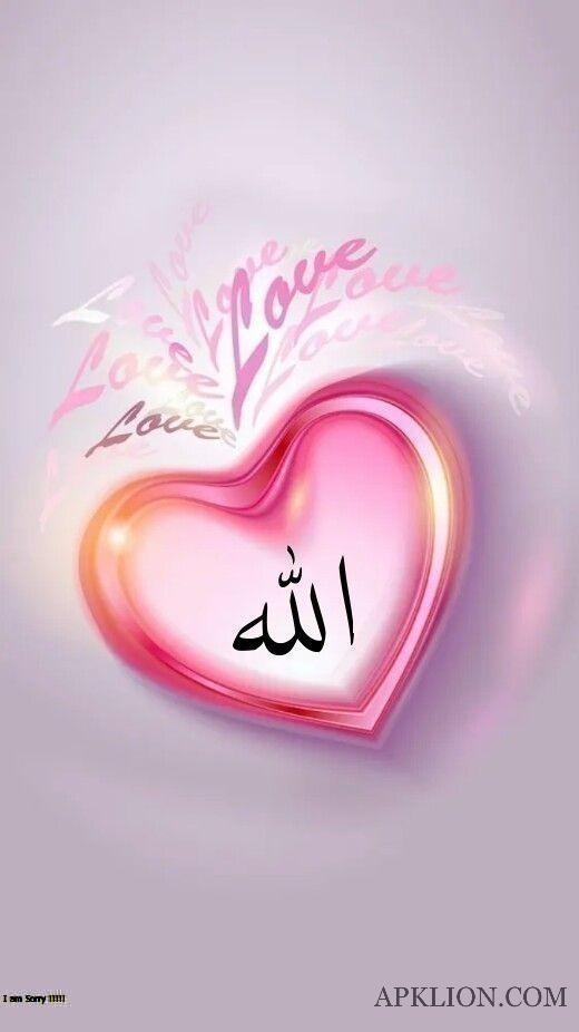 beautiful heart Allah dp for whatsapp