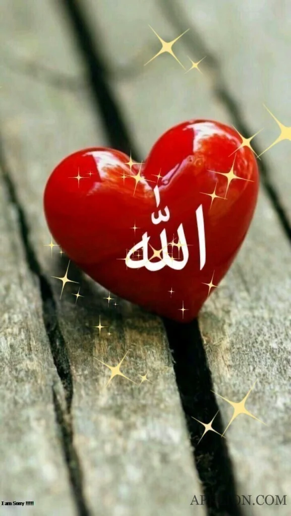 beautiful heart Allah dp for whatsapp