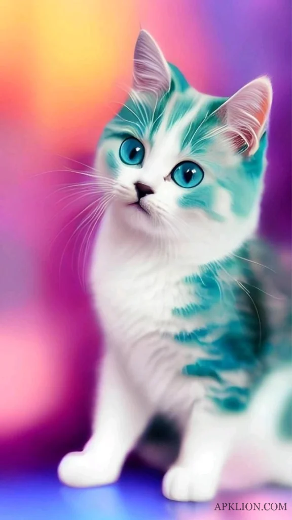 colourful cat dp for whatsapp
