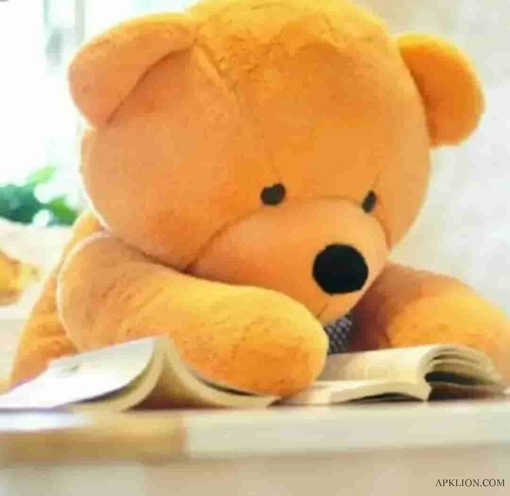 cute teddy bear whatsapp dp