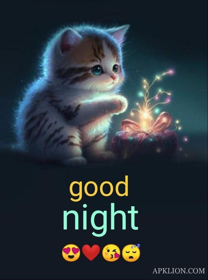 cat good night gif image