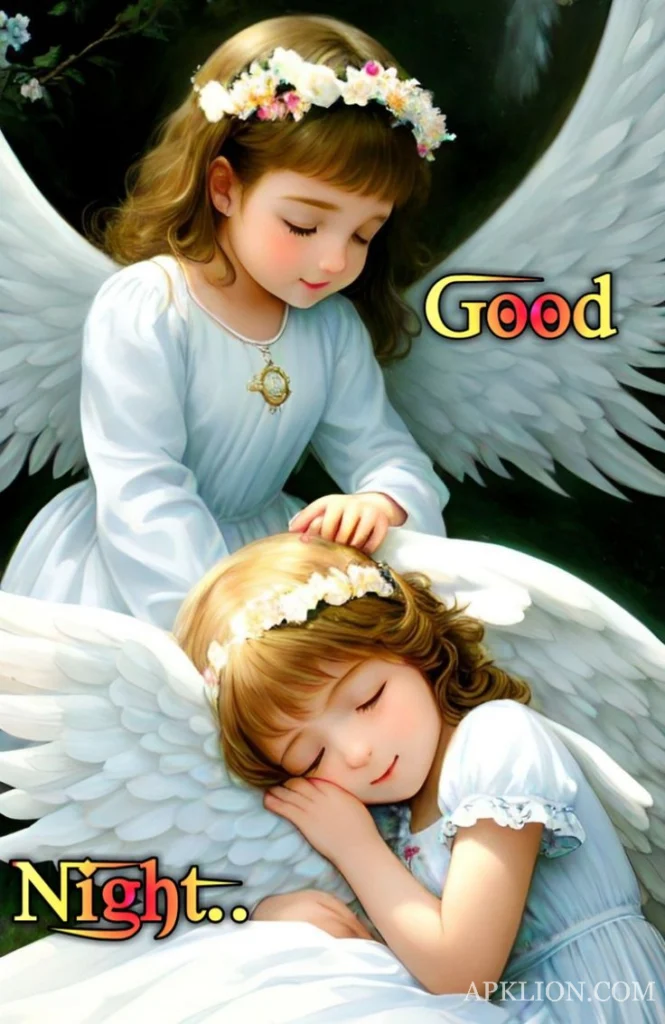 fairy good night gif image